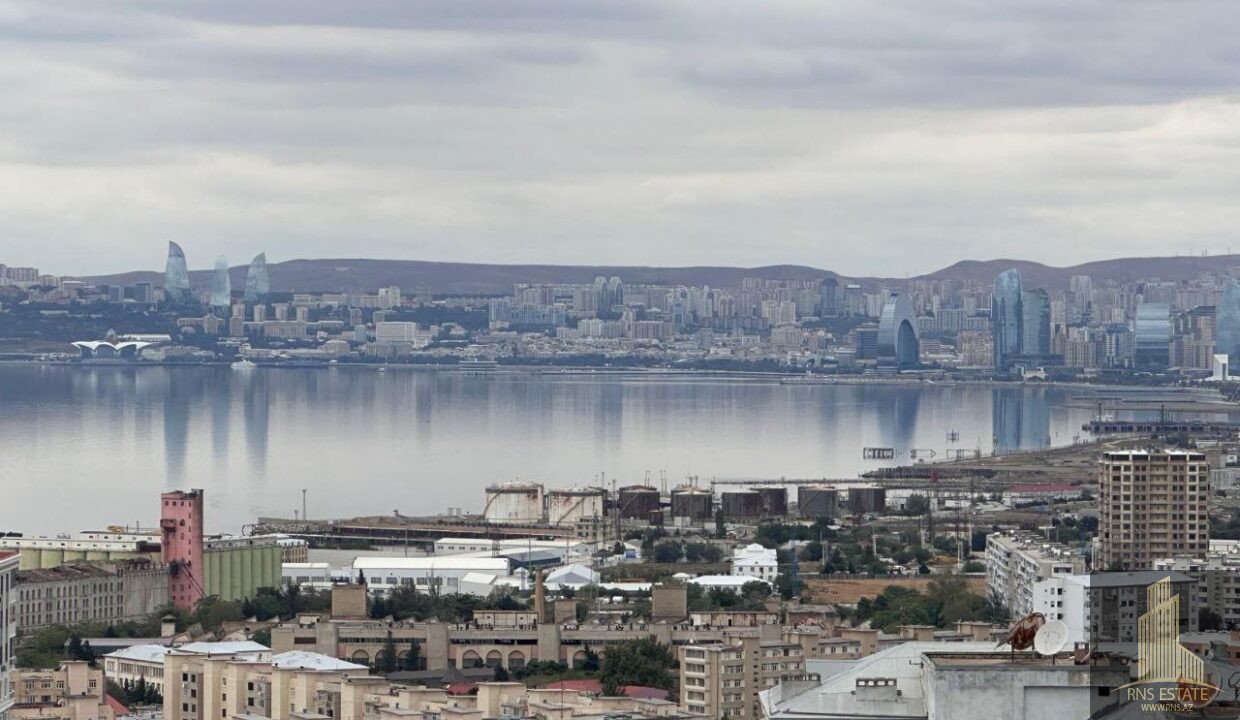 photo_3_2025-09-23_16-04-54