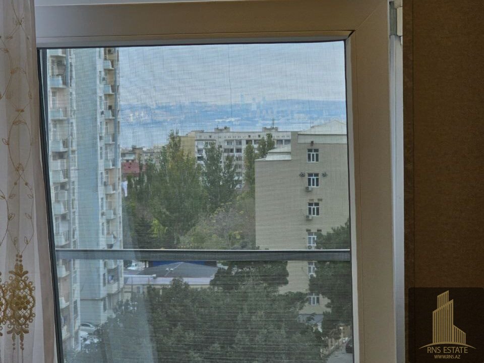 photo_2025-11-03_13-38-05