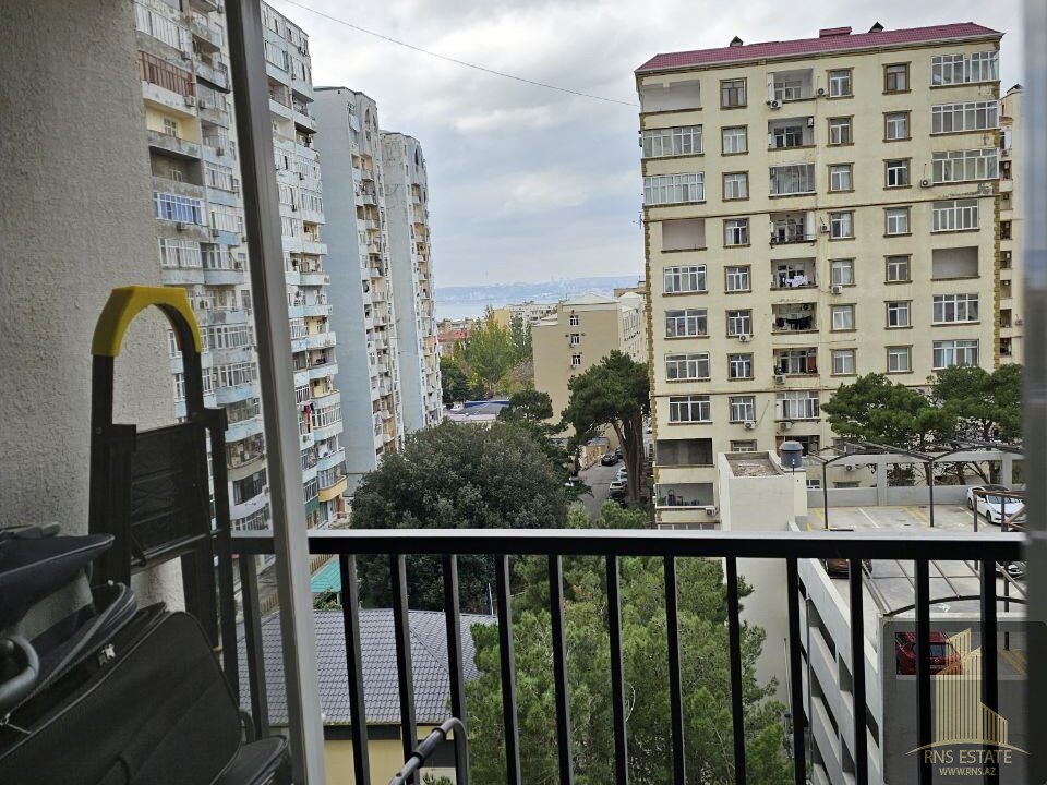 photo_2025-11-03_13-38-15