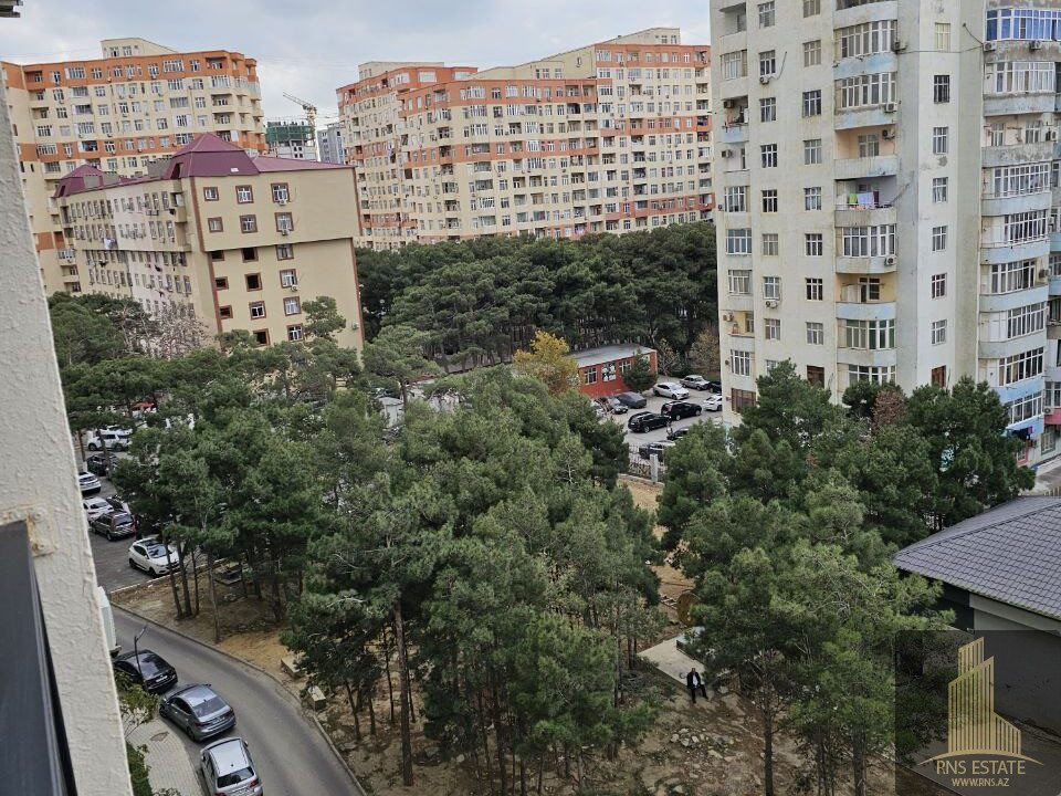 photo_2025-11-03_13-38-16