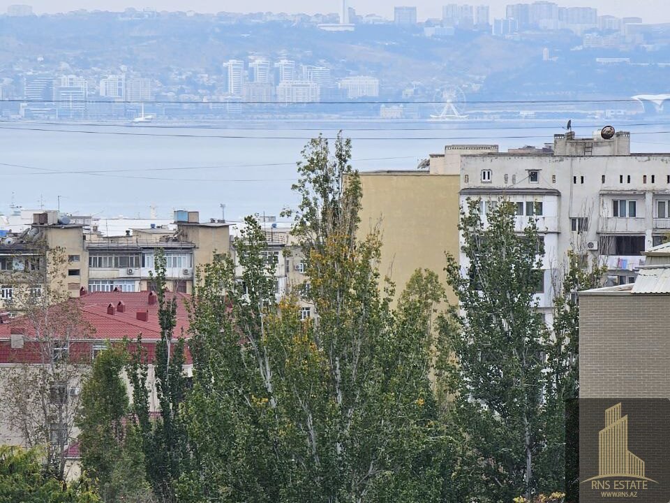 photo_2025-11-03_13-38-17 (2)