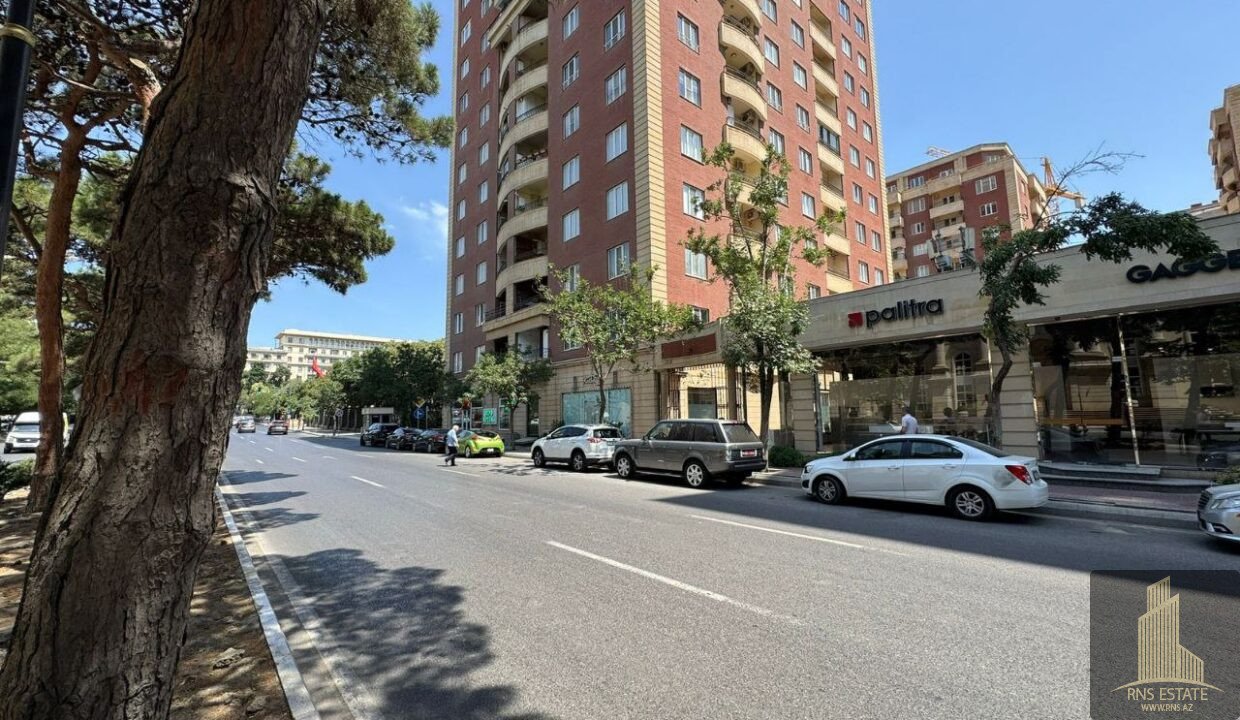 photo_2025-11-08_14-59-03