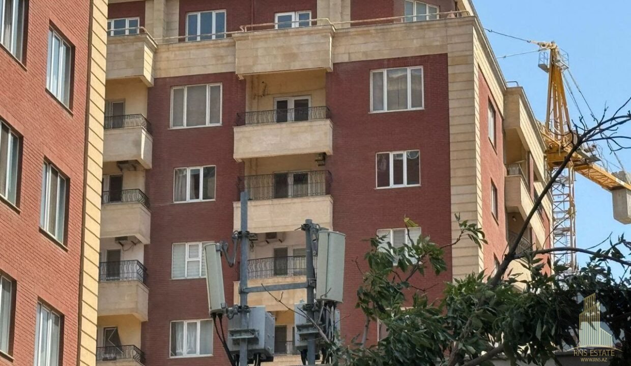 photo_2025-11-08_14-59-04