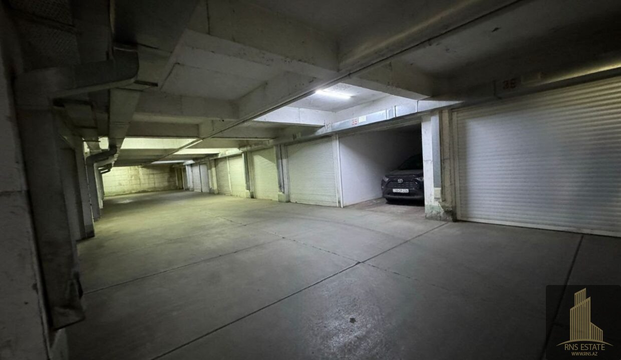 photo_2025-11-08_14-59-05