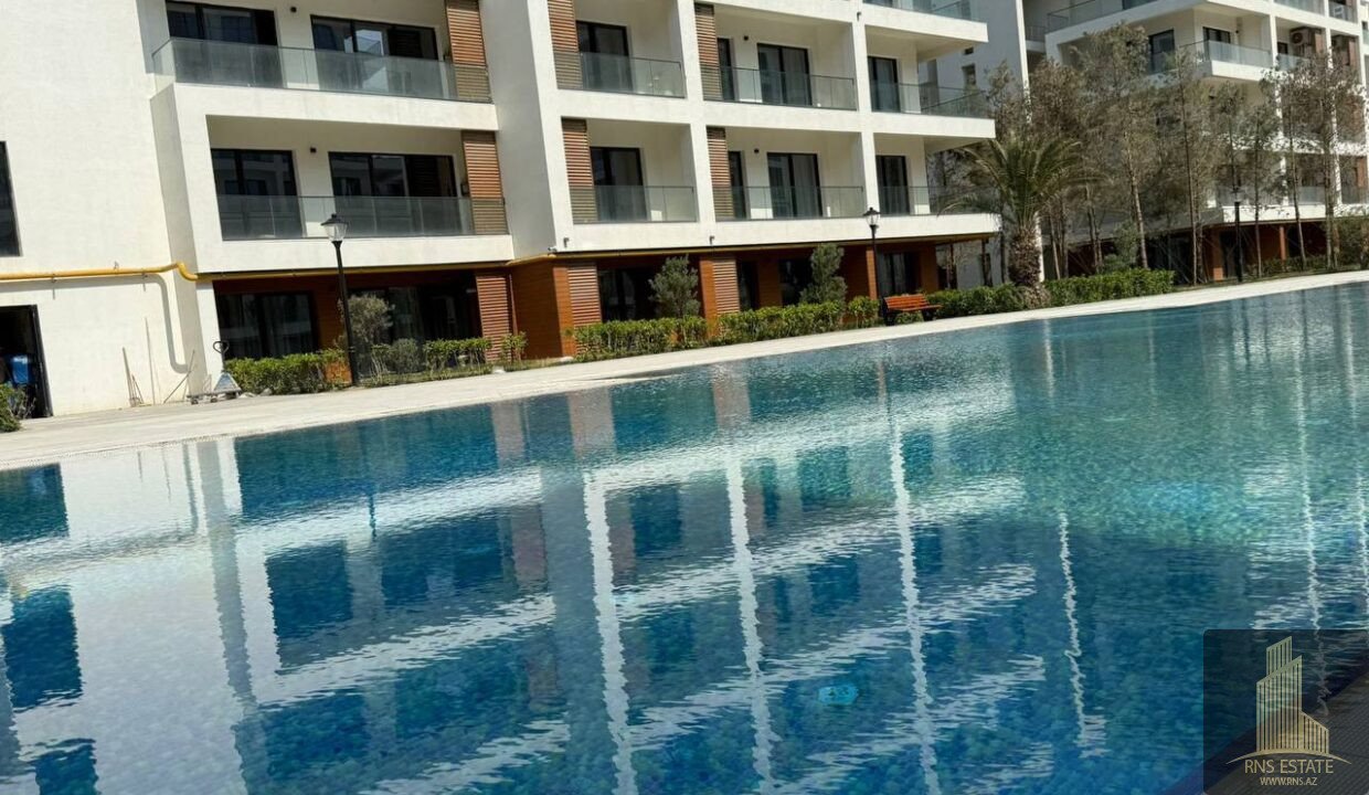 photo_2025-11-18_10-24-41