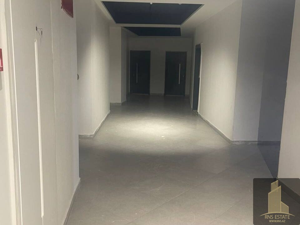 photo_2025-11-18_11-57-15