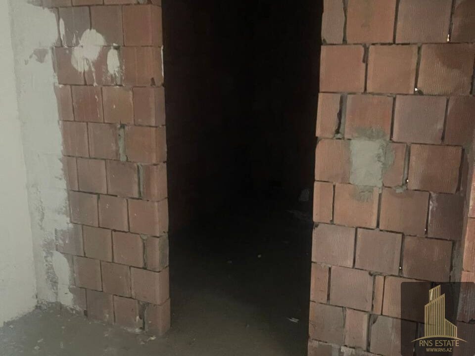 photo_2025-11-18_11-57-18