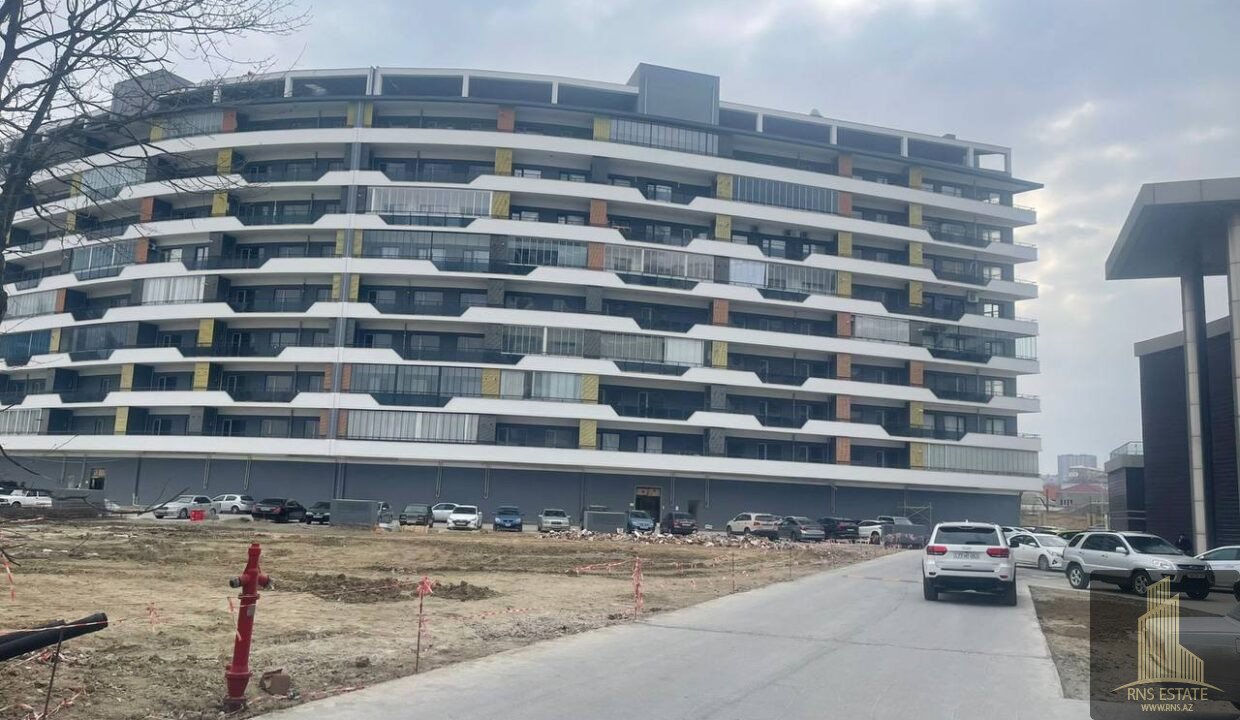 photo_2025-11-18_11-57-19