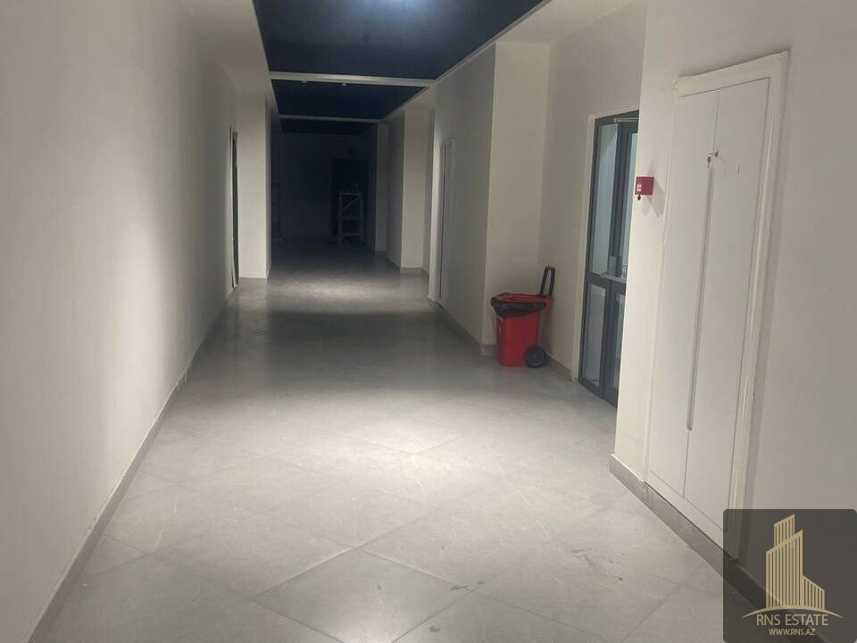 photo_2025-11-18_11-57-20