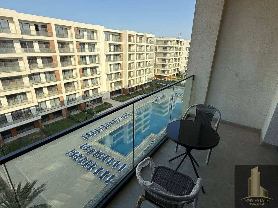 photo_2025-11-18_12-23-36