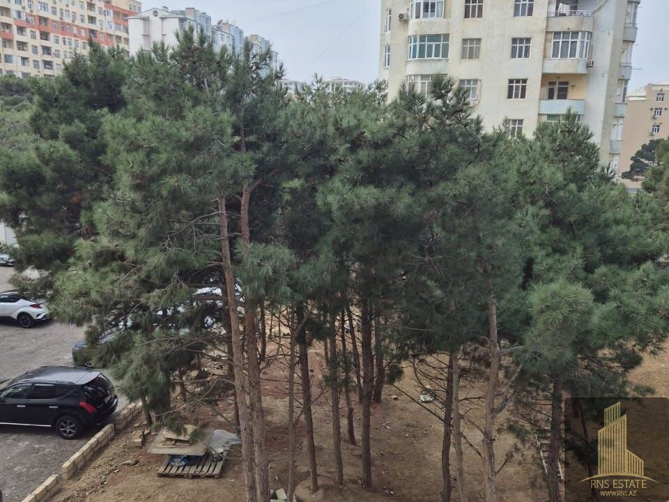 photo_2025-11-18_15-16-00