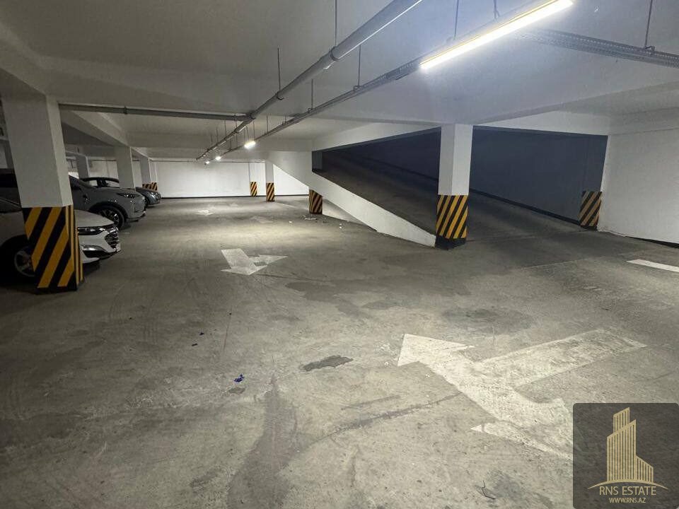 photo_2025-11-19_10-18-28