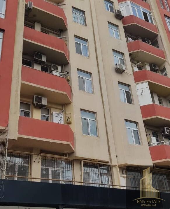 photo_2025-11-19_11-15-48