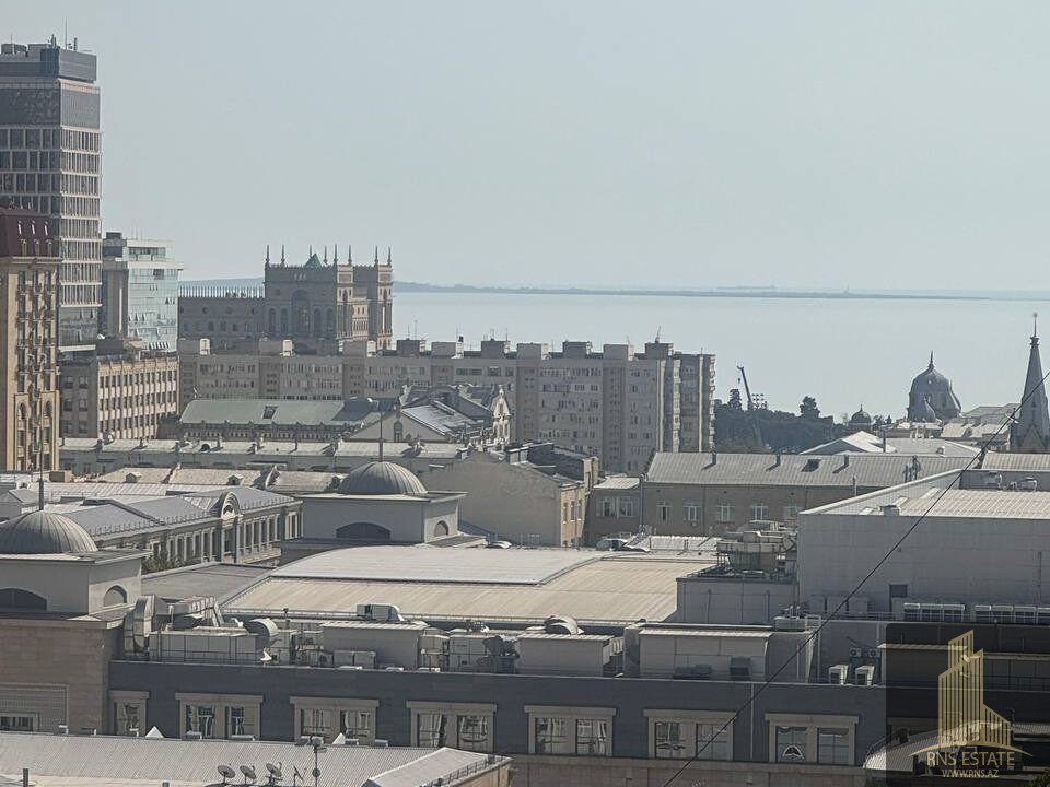 photo_2025-11-20_11-34-53