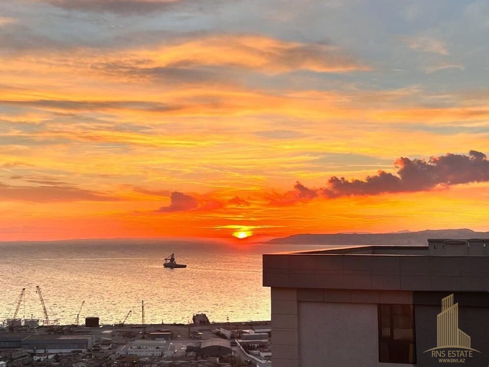 photo_2025-11-24_10-16-10