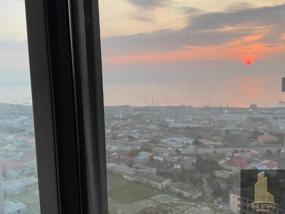 photo_2025-11-24_10-16-14