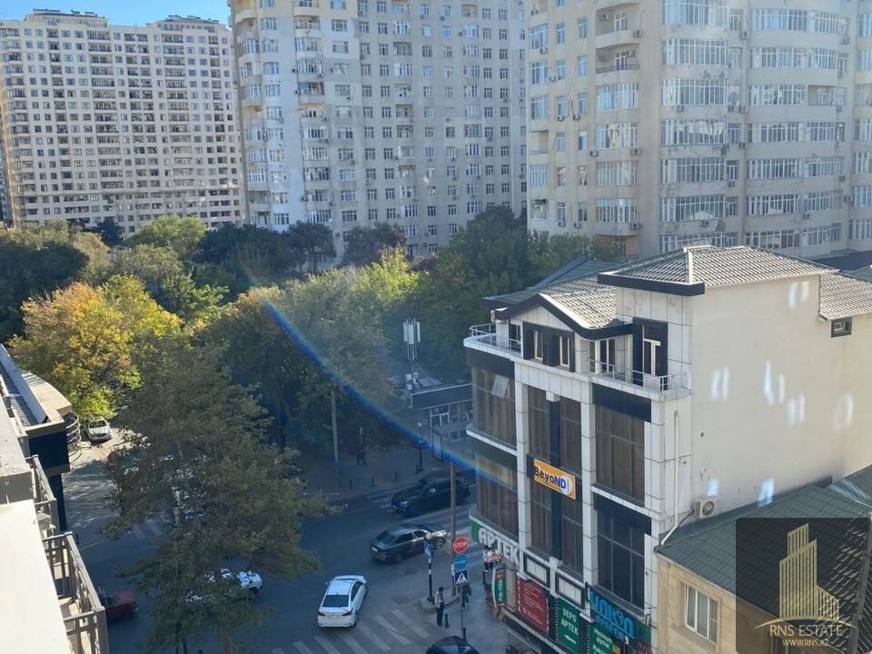 photo_2025-11-24_10-59-34