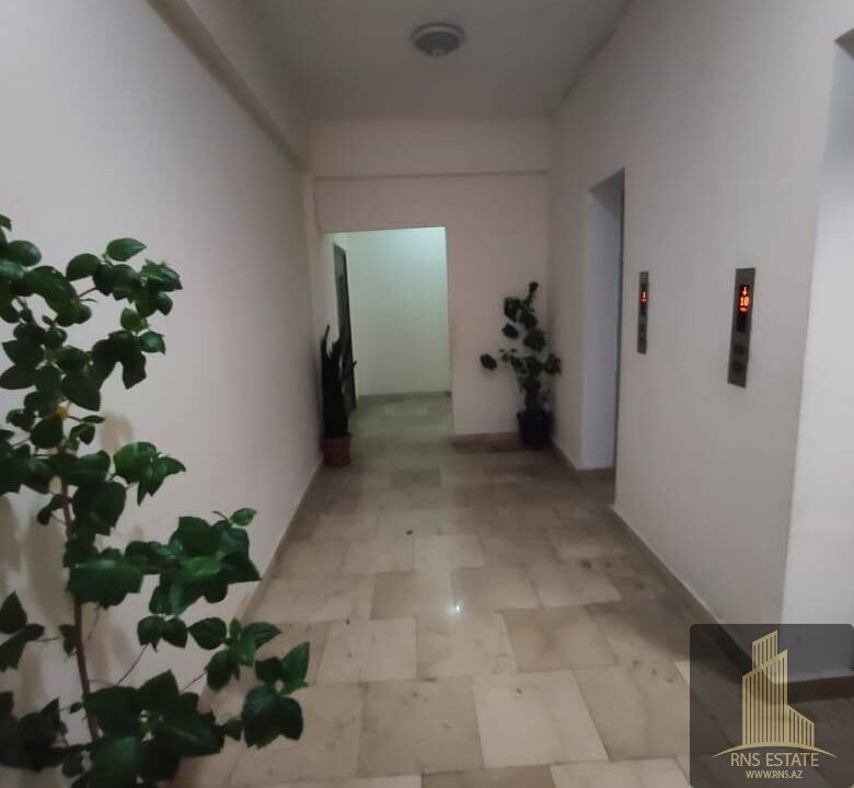 photo_2025-11-25_12-21-13