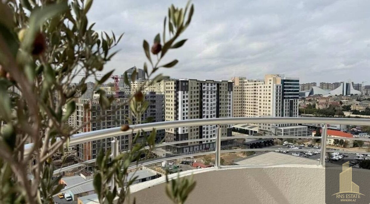 photo_2025-12-01_17-54-47