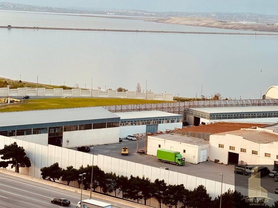 photo_2025-12-02_11-13-25