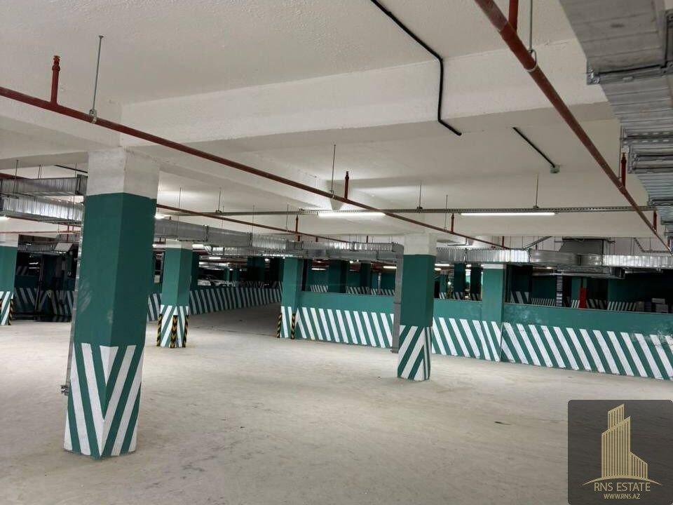 photo_2025-12-02_11-14-52