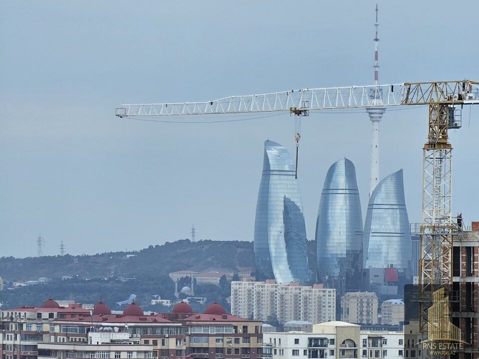 photo_2025-12-08_11-33-41