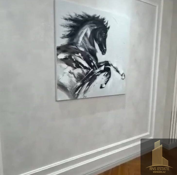 photo_2026-01-12_17-23-04