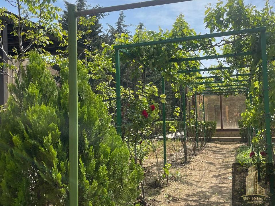 photo_2026-01-19_14-43-47