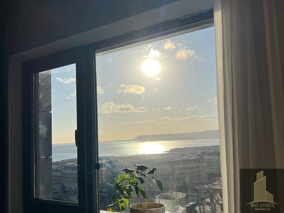 photo_2026-01-31_12-02-53