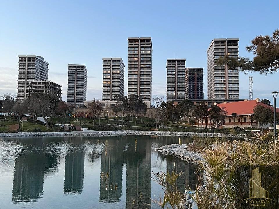 photo_2026-01-31_12-02-58 (2)