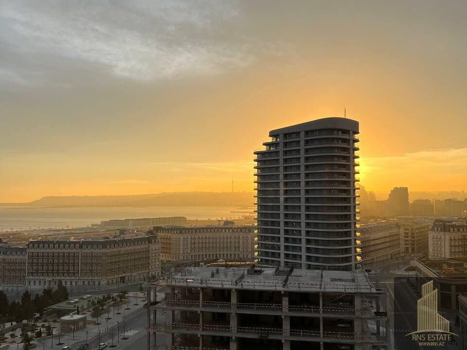 photo_2026-01-31_12-03-11