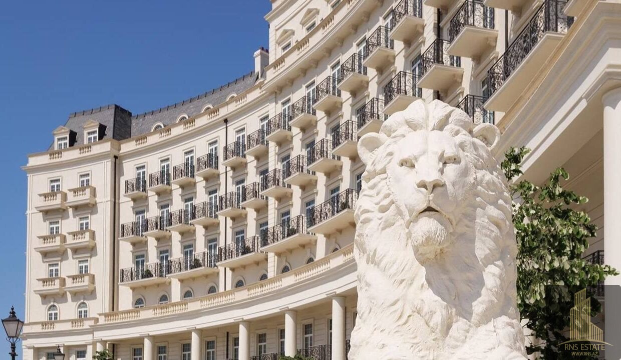 photo_2026-02-05_15-38-40 (3)