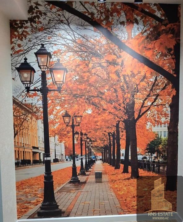 photo_2026-02-09_09-47-05 (2)