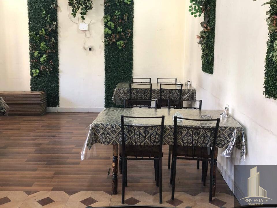 photo_2026-02-09_17-33-24