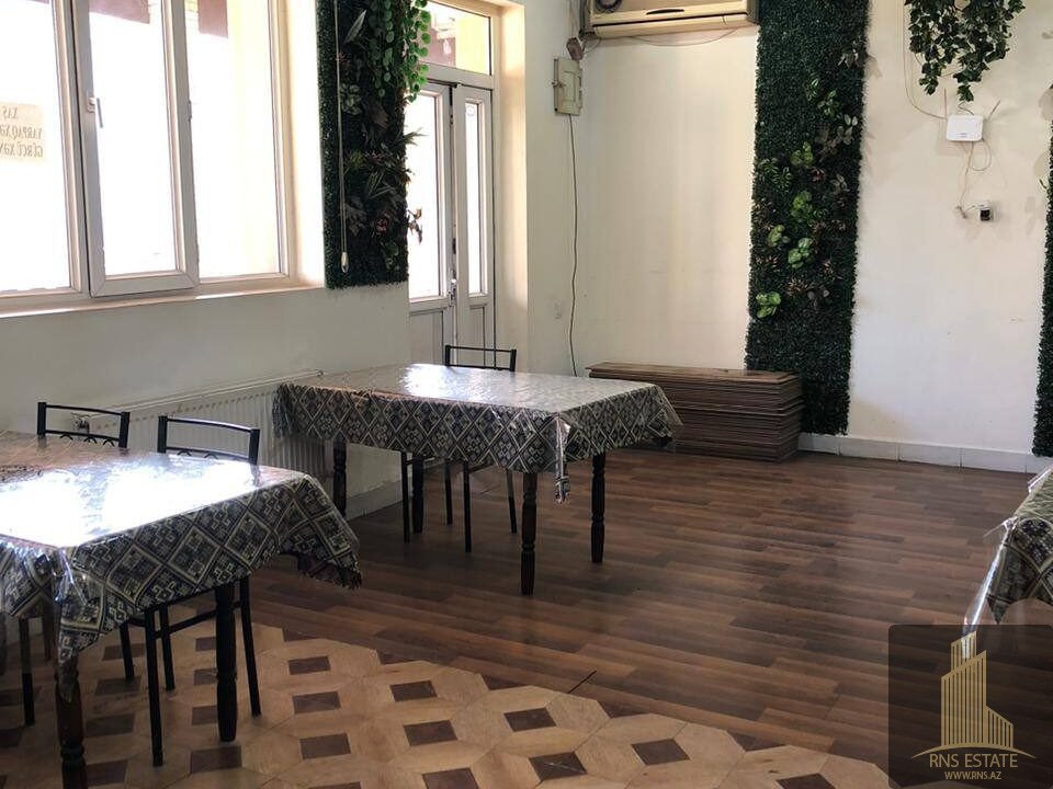 photo_2026-02-09_17-33-29