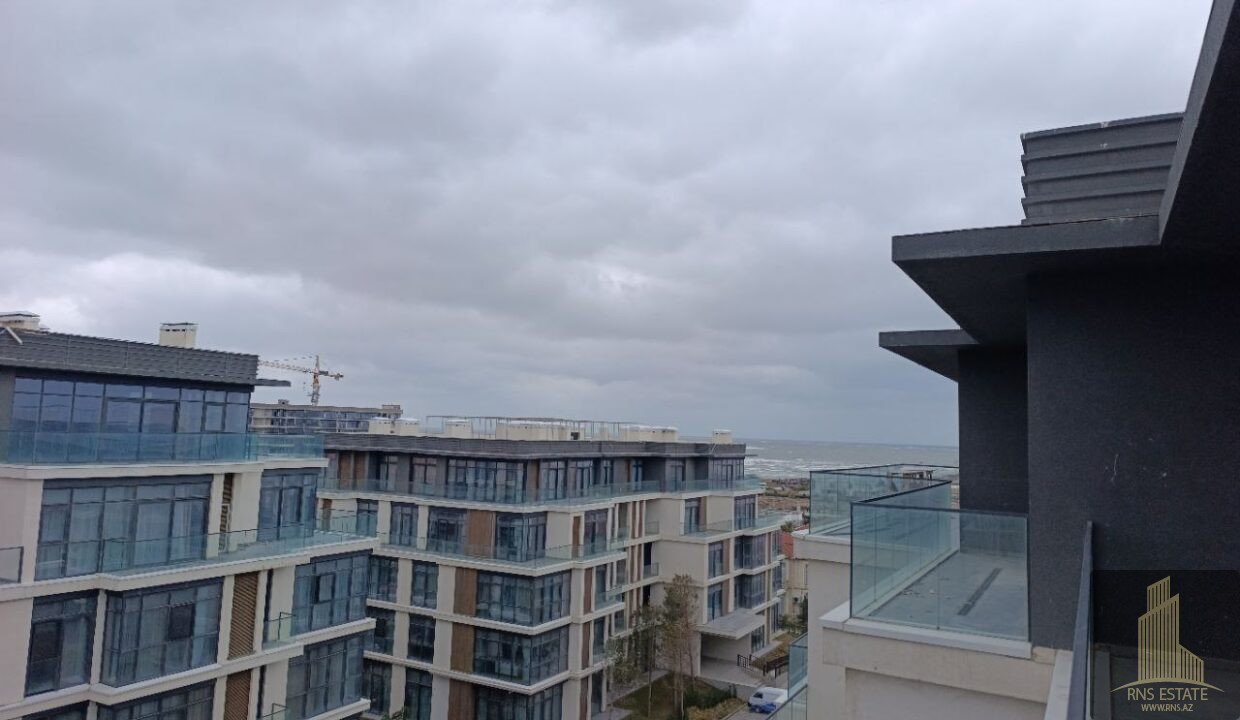 photo_2026-02-12_16-19-03