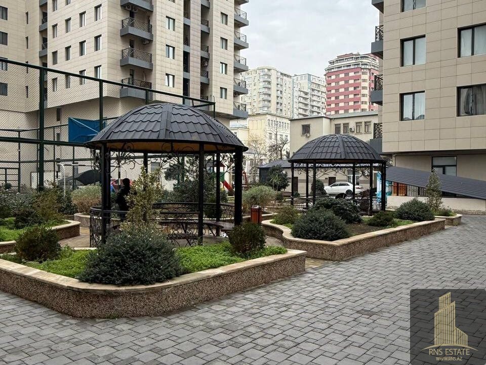 photo_2026-02-12_16-23-45