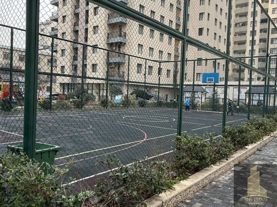 photo_2026-02-12_16-23-48 (2)