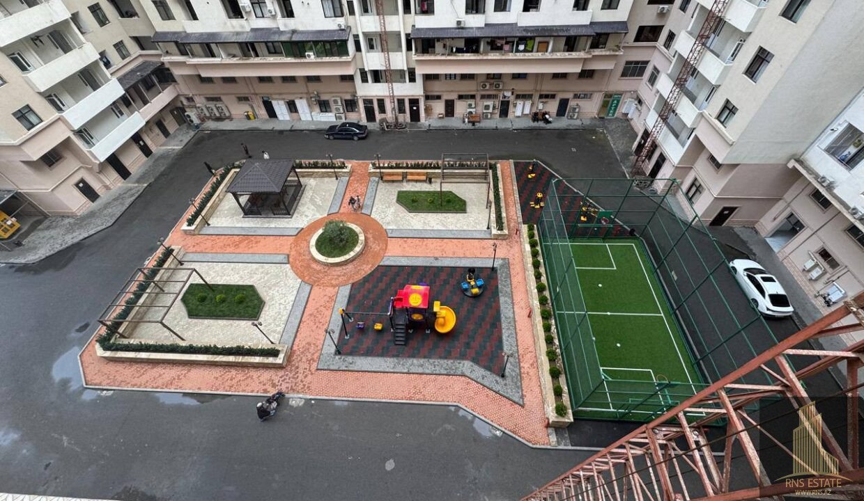 photo_2026-02-12_16-27-23