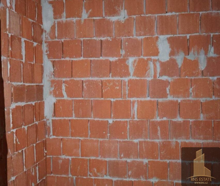 photo_2026-02-12_16-28-06