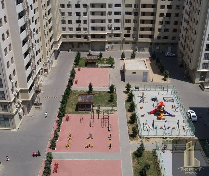 photo_2026-02-12_16-28-08 (3)