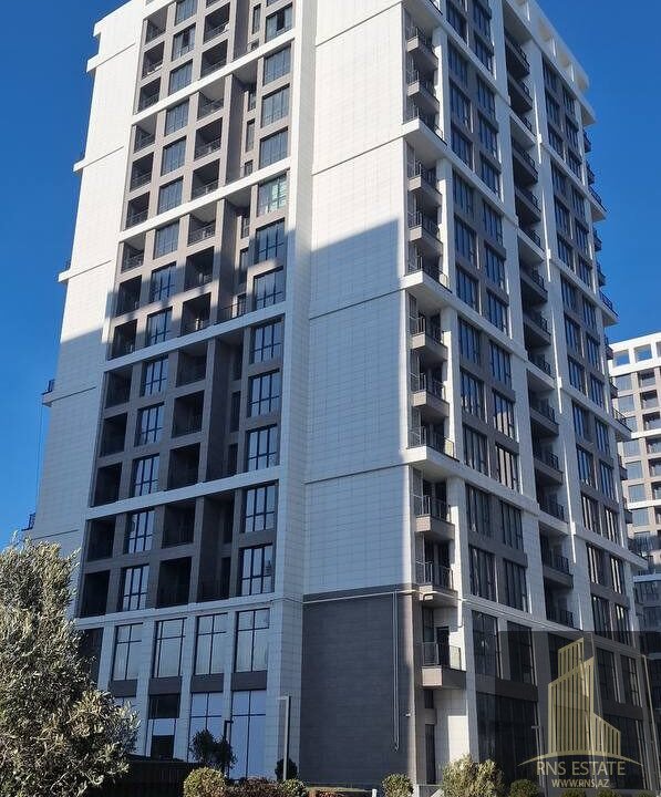 photo_2026-02-12_16-30-05