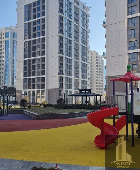 photo_2026-02-12_16-30-06