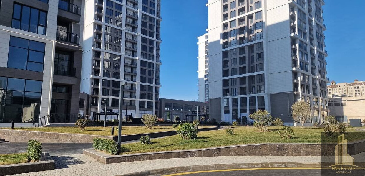 photo_2026-02-12_16-30-07