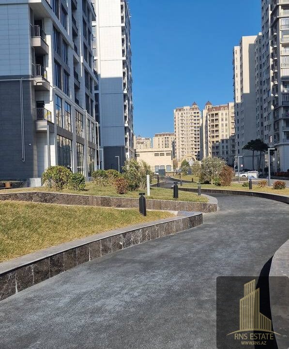 photo_2026-02-12_16-30-09 (3)