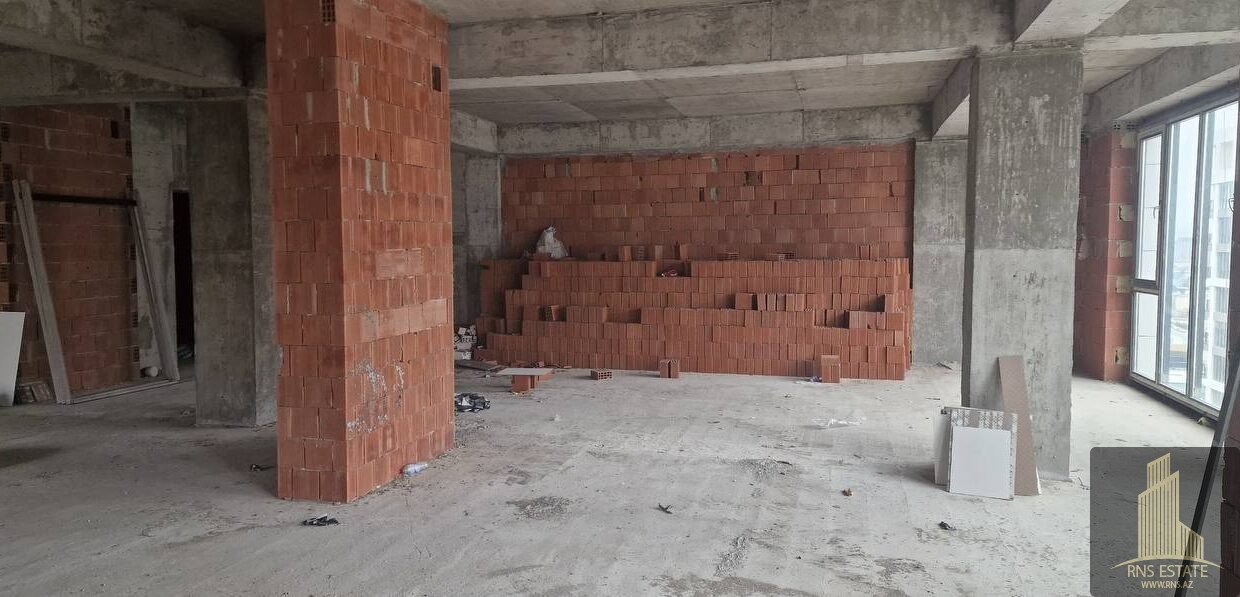 photo_2026-02-12_16-30-10