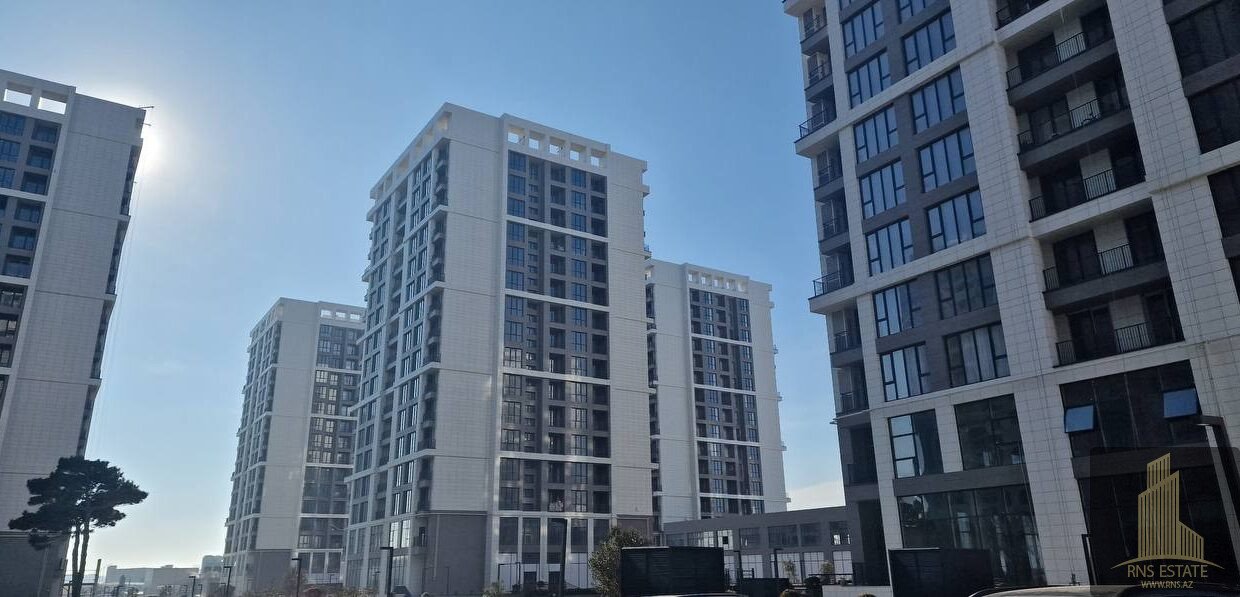 photo_2026-02-12_16-30-11