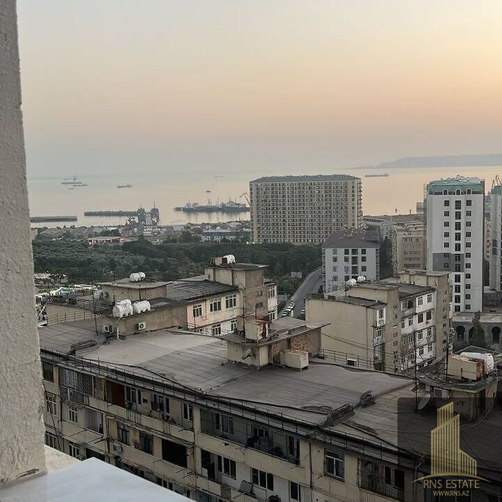 photo_2026-02-17_14-51-33