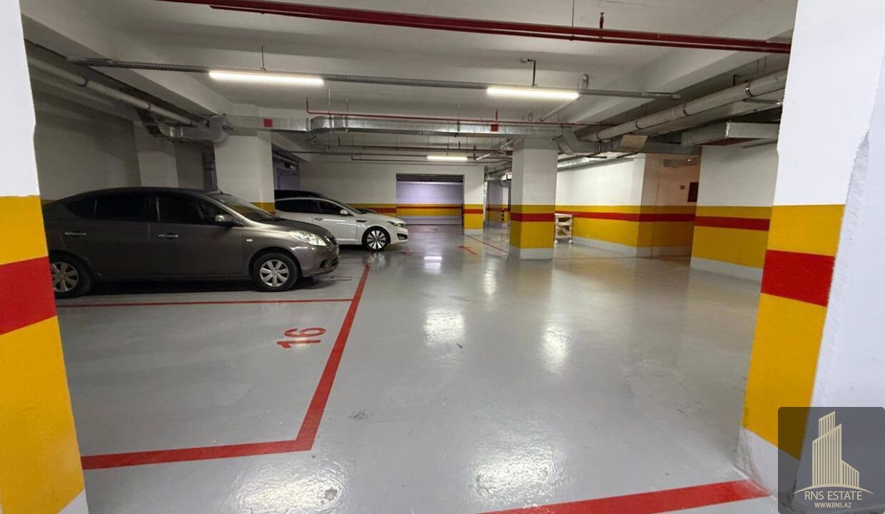 photo_2026-02-20_16-41-32 (2)