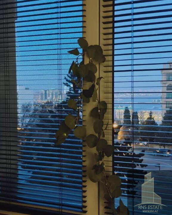 photo_2026-02-23_16-34-44